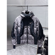 Louis Vuitton Down Jackets